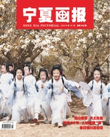 寧夏畫報(bào) 