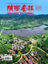 陜西畫報(bào)