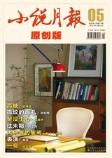 小說(shuō)月報(bào)·原創(chuàng)版