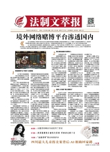 法制文萃報2019年7月第2539期