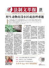 法制文萃報(bào)2021年7月第2662期