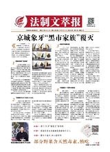 法制文萃報2019年5月第2522期