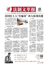 法制文萃報2019年6月第2531期