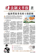 法制文萃報2019年6月第2534期