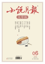 小說(shuō)月報(bào)·大字版