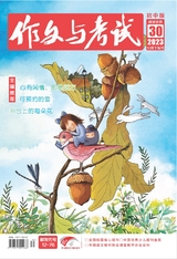 作文與考試·初中版