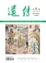 遺傳2025年6月第6期