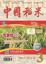 中國(guó)稻米2025年5月第3期