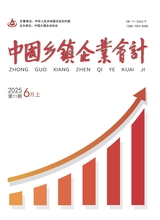 中國鄉(xiāng)鎮(zhèn)企業(yè)會計