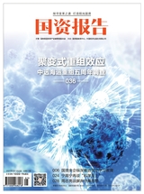 國資報告2021年5月第5期