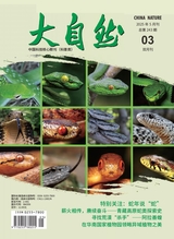 大自然