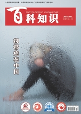 百科知識2024年5月第10期