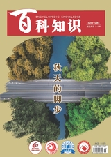 百科知識2022年9月第18期
