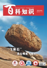 百科知識(shí)2023年9月第17期