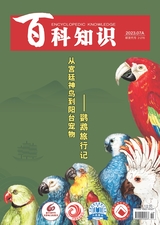 百科知識(shí)2023年7月第13期