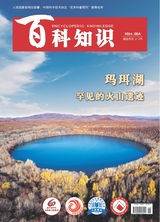百科知識2024年6月第11期