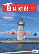 百科知識2021年1月第2期