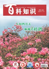 百科知識2022年4月第8期