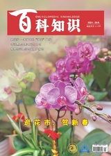 百科知識2021年2月第3期