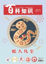 百科知識2025年1月第1期