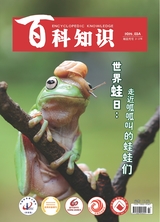 百科知識(shí)