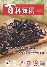 百科知識(shí)