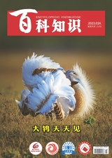 百科知識(shí)2023年3月第5期