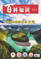 百科知識(shí)2023年11月第21期