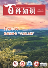 百科知識2022年11月第22期