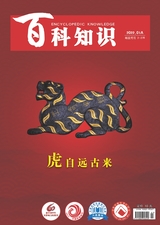 百科知識2022年1月第1期