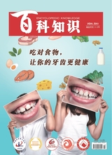 百科知識(shí)