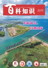 百科知識(shí)2023年5月第10期