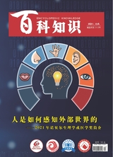 百科知識2021年12月第23期