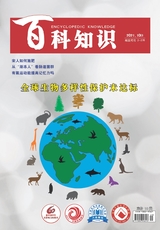 百科知識2021年10月第20期
