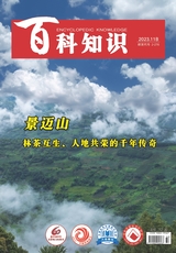 百科知識(shí)2023年11月第22期