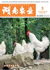 湖南農(nóng)業(yè)2025年5月第5期
