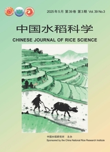 中國水稻科學(xué)