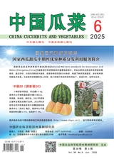 中國瓜菜2025年6月第6期
