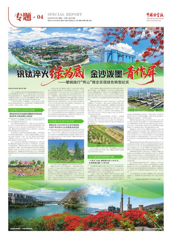 中国冶金报